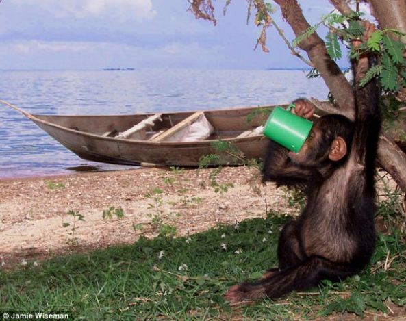 article-2281016-0020DE4F00000258-417_634x502