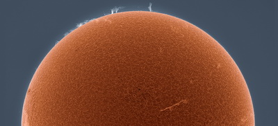 not_the_great_pumpkin